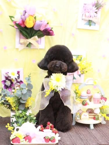 20230307リルくん